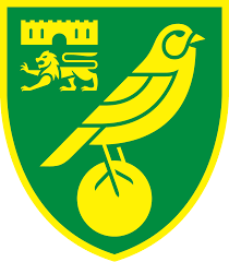 Logo FC Norwich