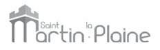 logo Saint Martin